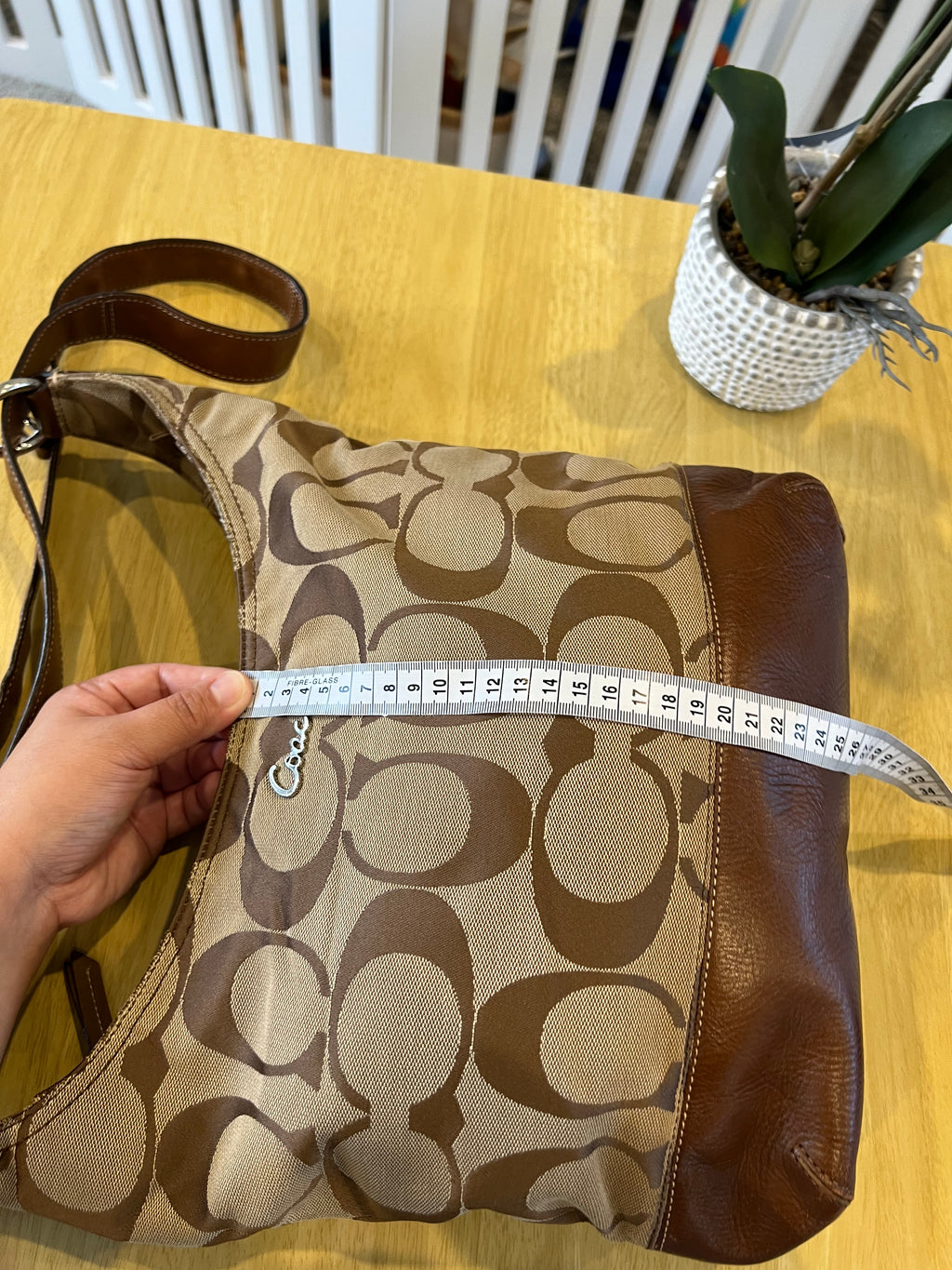 Coach Signature Canvas Hobo Crossbody Bag