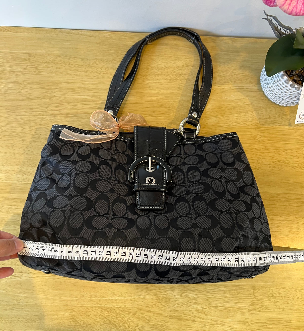Coach Soholynn Signature C Canvas Tote Bag