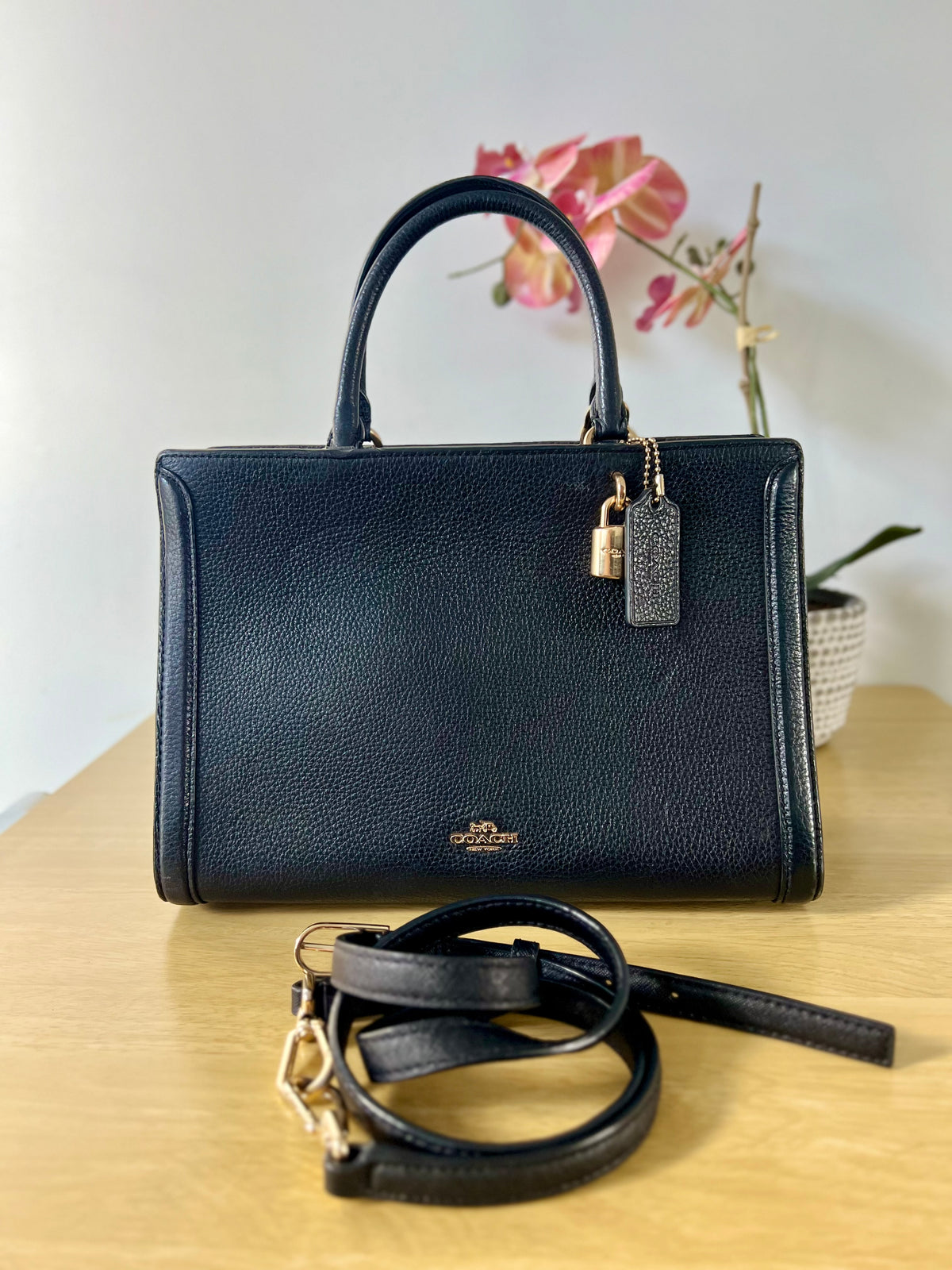 Coach Zoe Carryall Bag