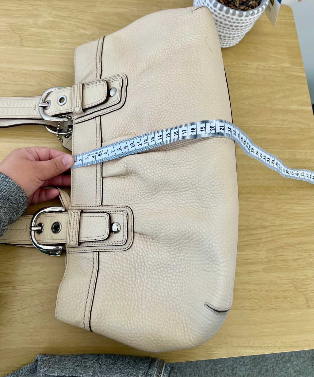 Coach Soho Pleated Pebble Leather Bag