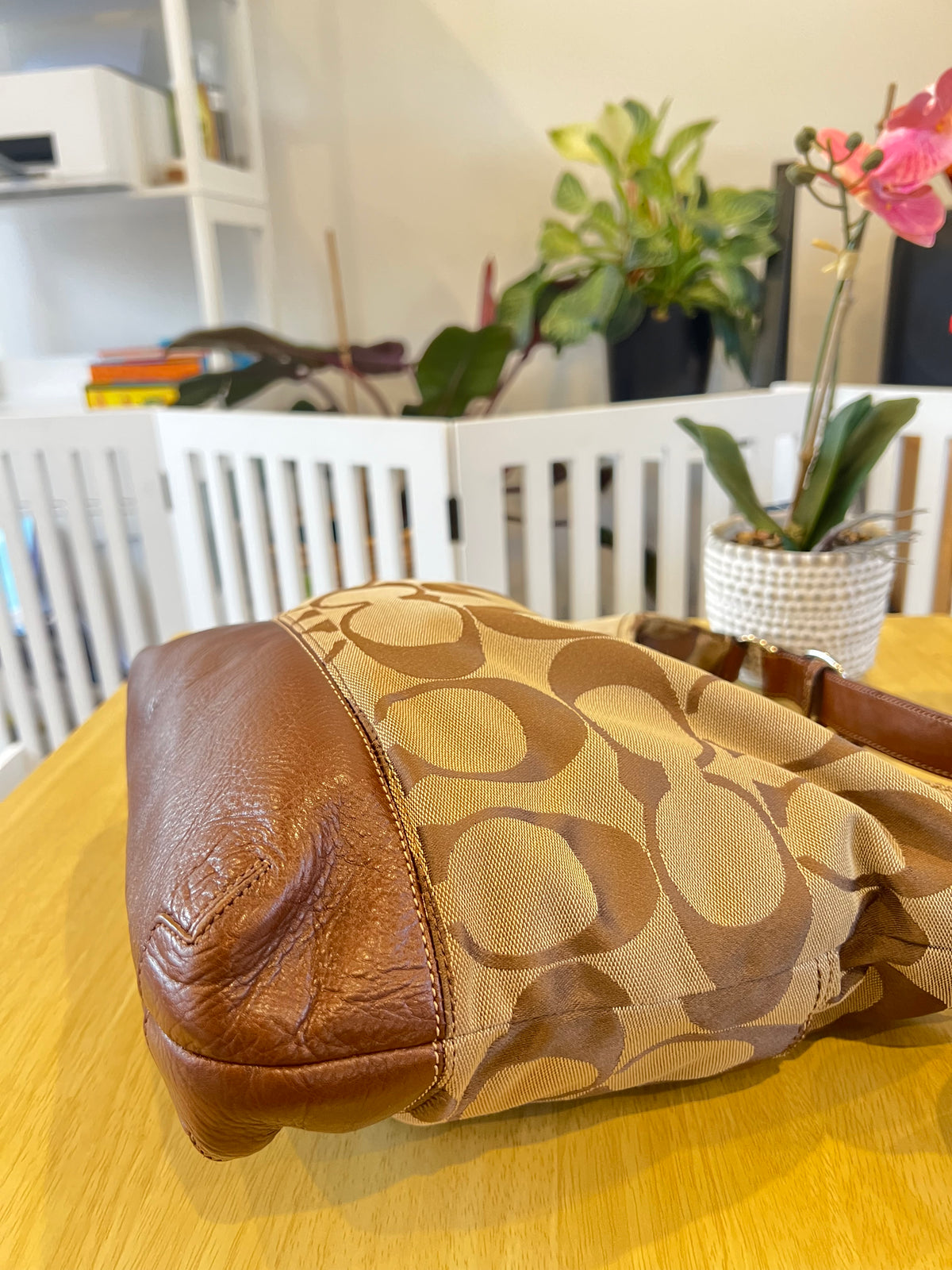Coach Signature Canvas Hobo Crossbody Bag