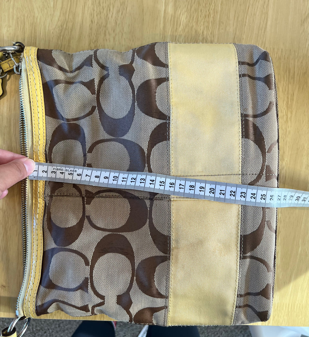 Coach Signature Stripe Hobo/Crossbody Bag