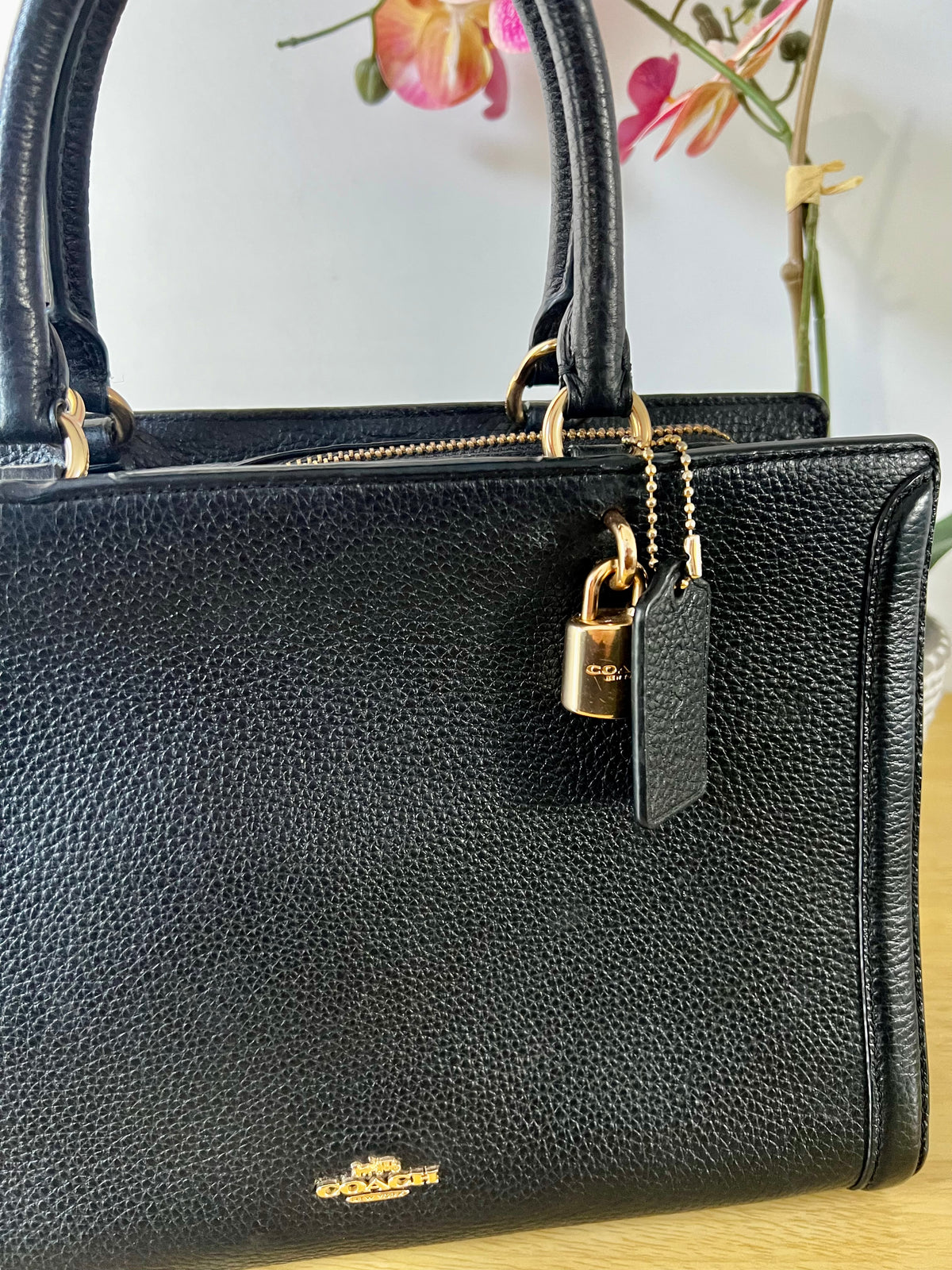 Coach Zoe Carryall Bag