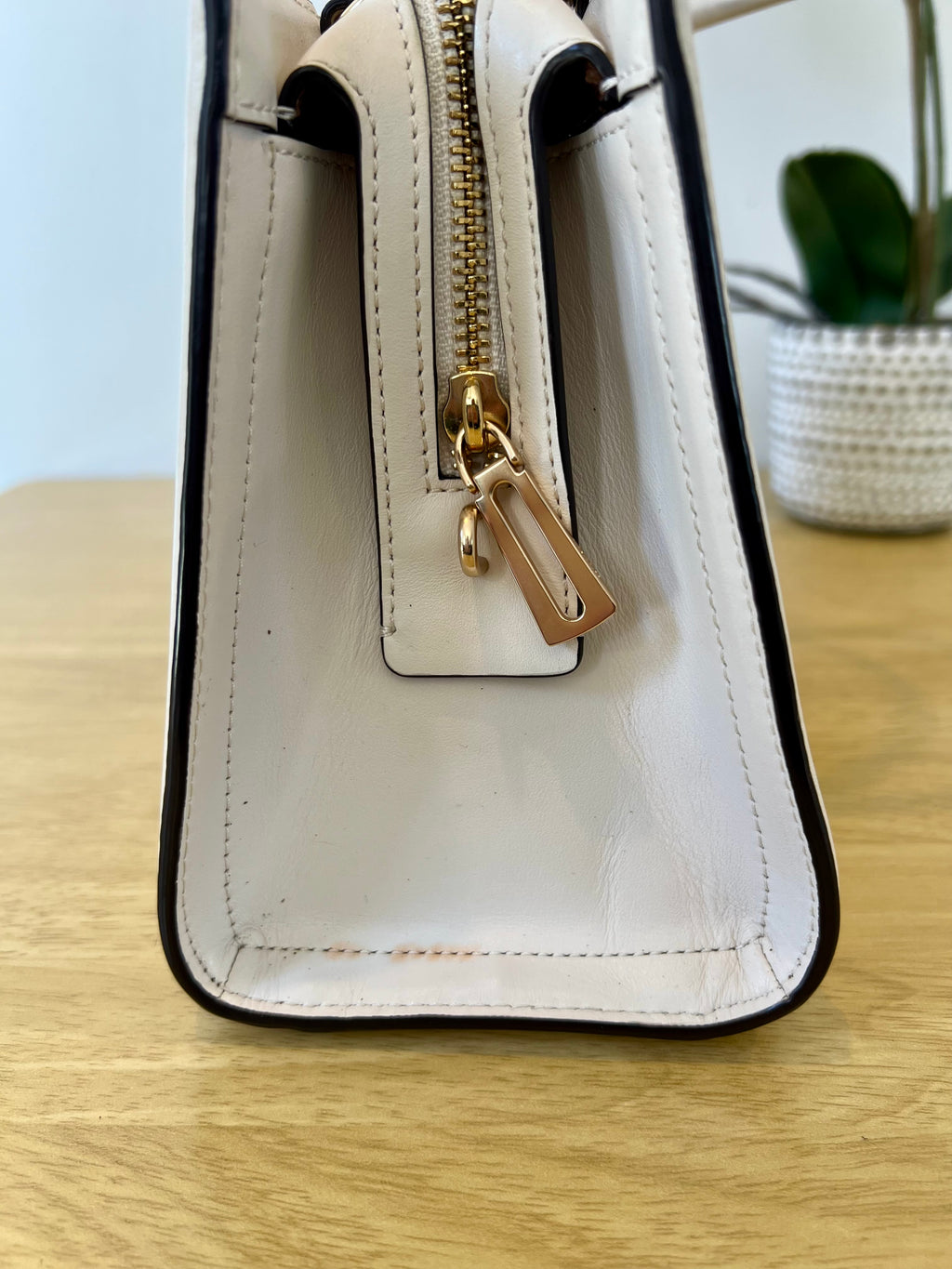 Coach Small Zoe Leather Carryall