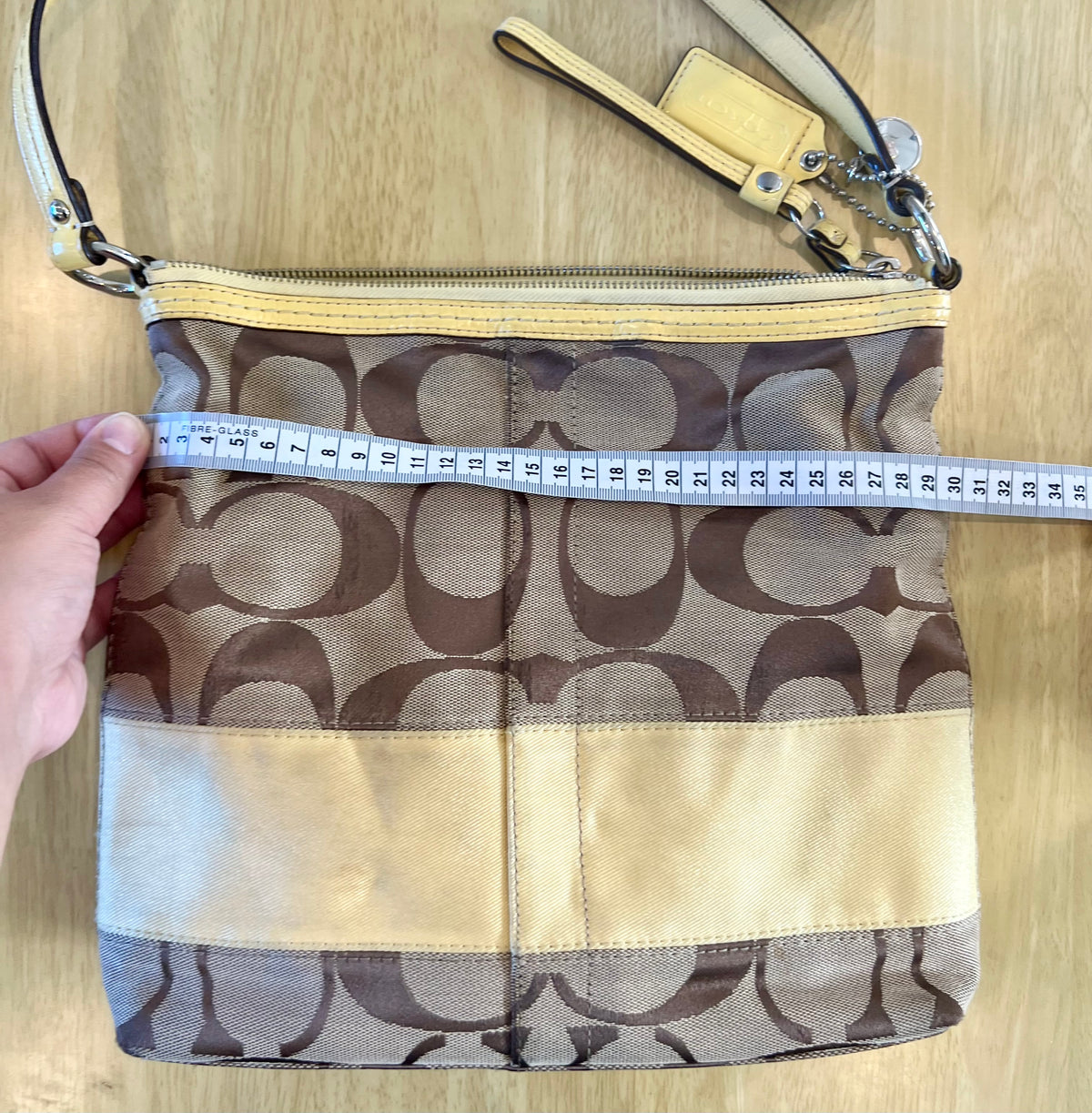 Coach Signature Stripe Hobo/Crossbody Bag
