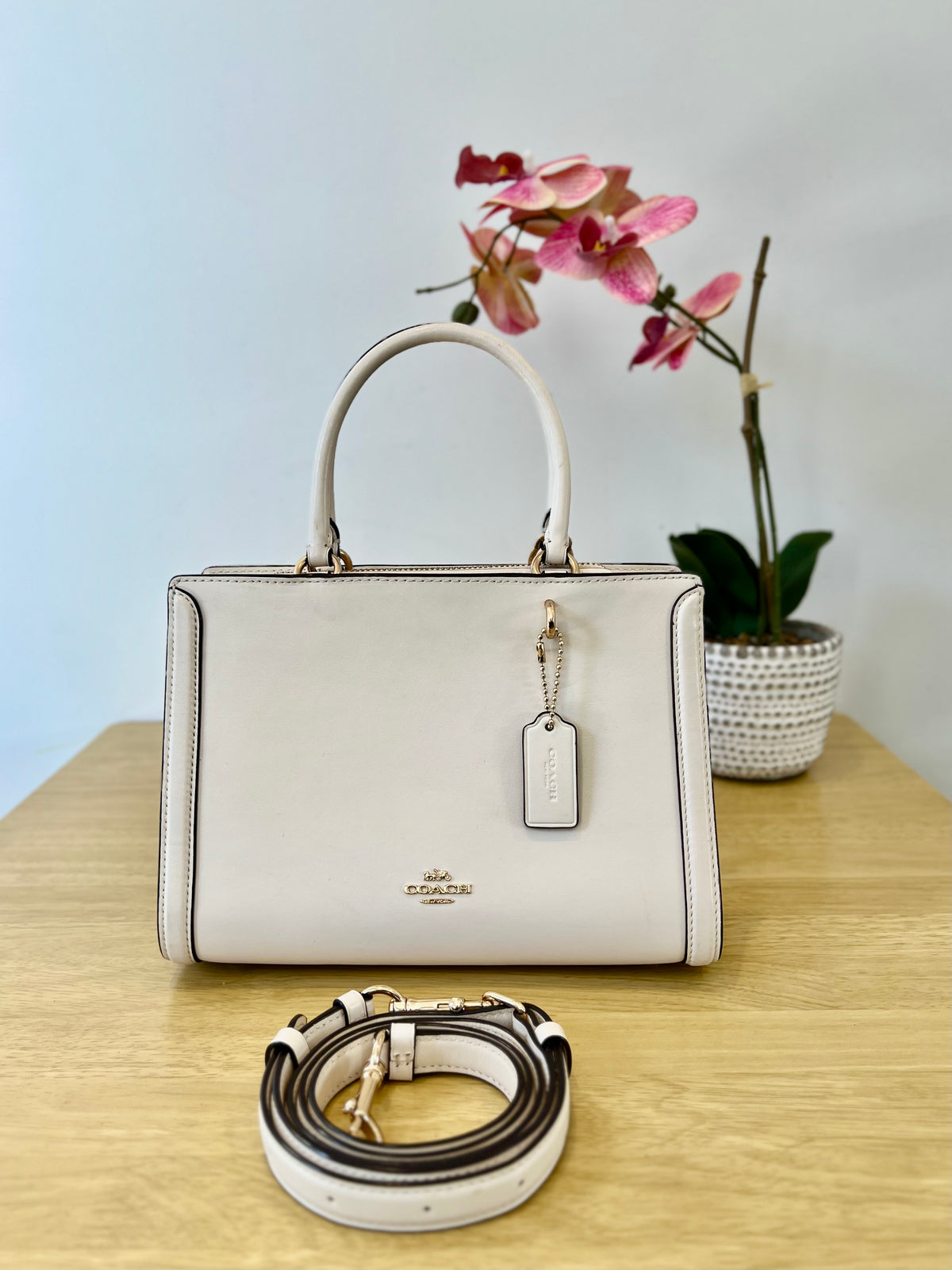 Coach Small Zoe Leather Carryall