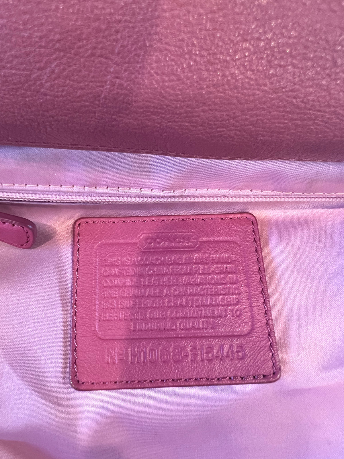 Coach Y2K Ashley Satchel Bag