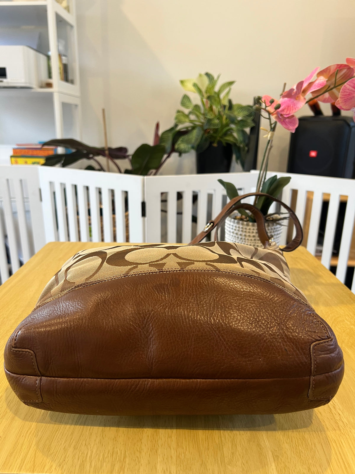 Coach Signature Canvas Hobo Crossbody Bag