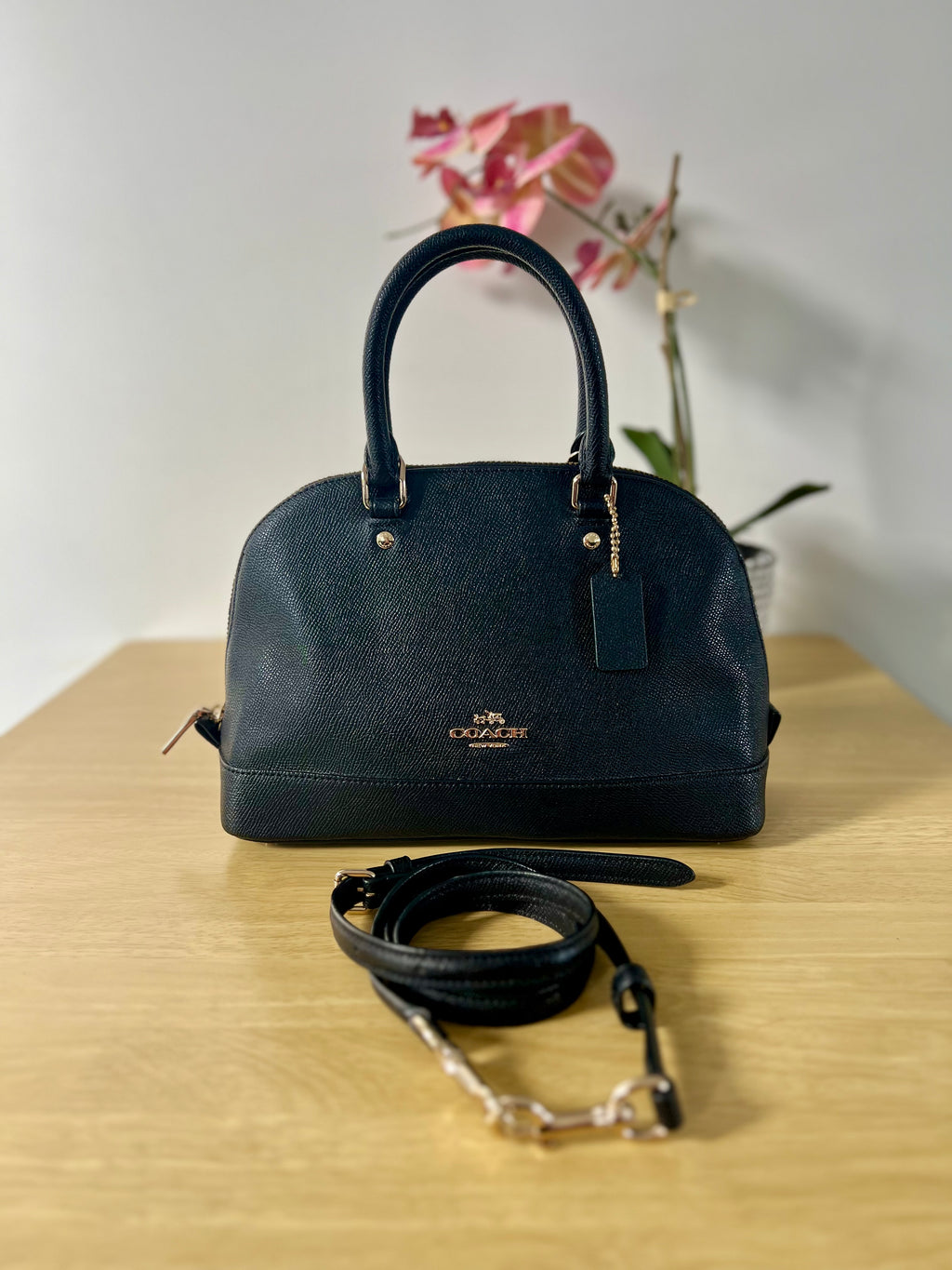 Coach Mini Sierra Satchel Bag