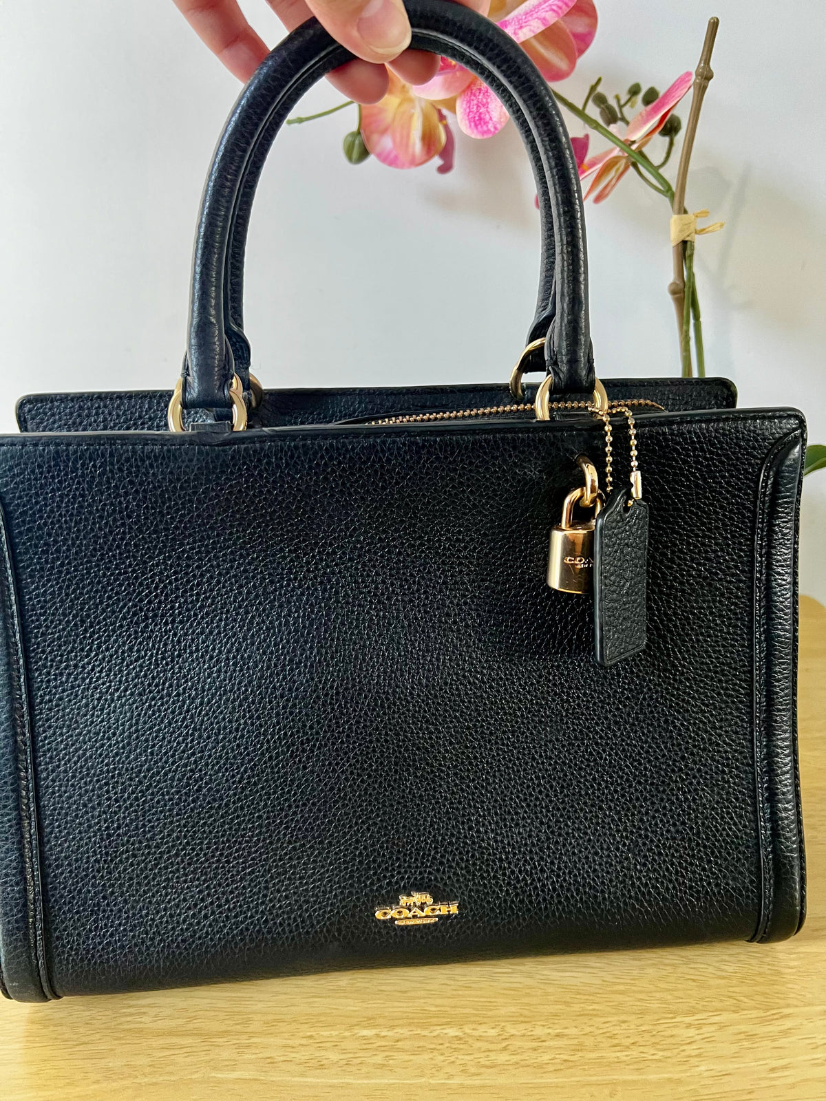 Coach Zoe Carryall Bag