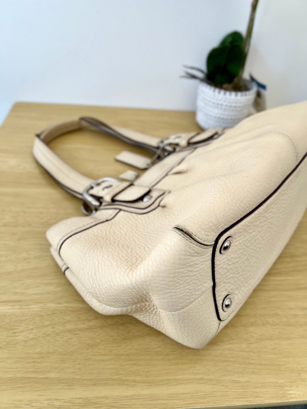 Coach Soho Pleated Pebble Leather Bag