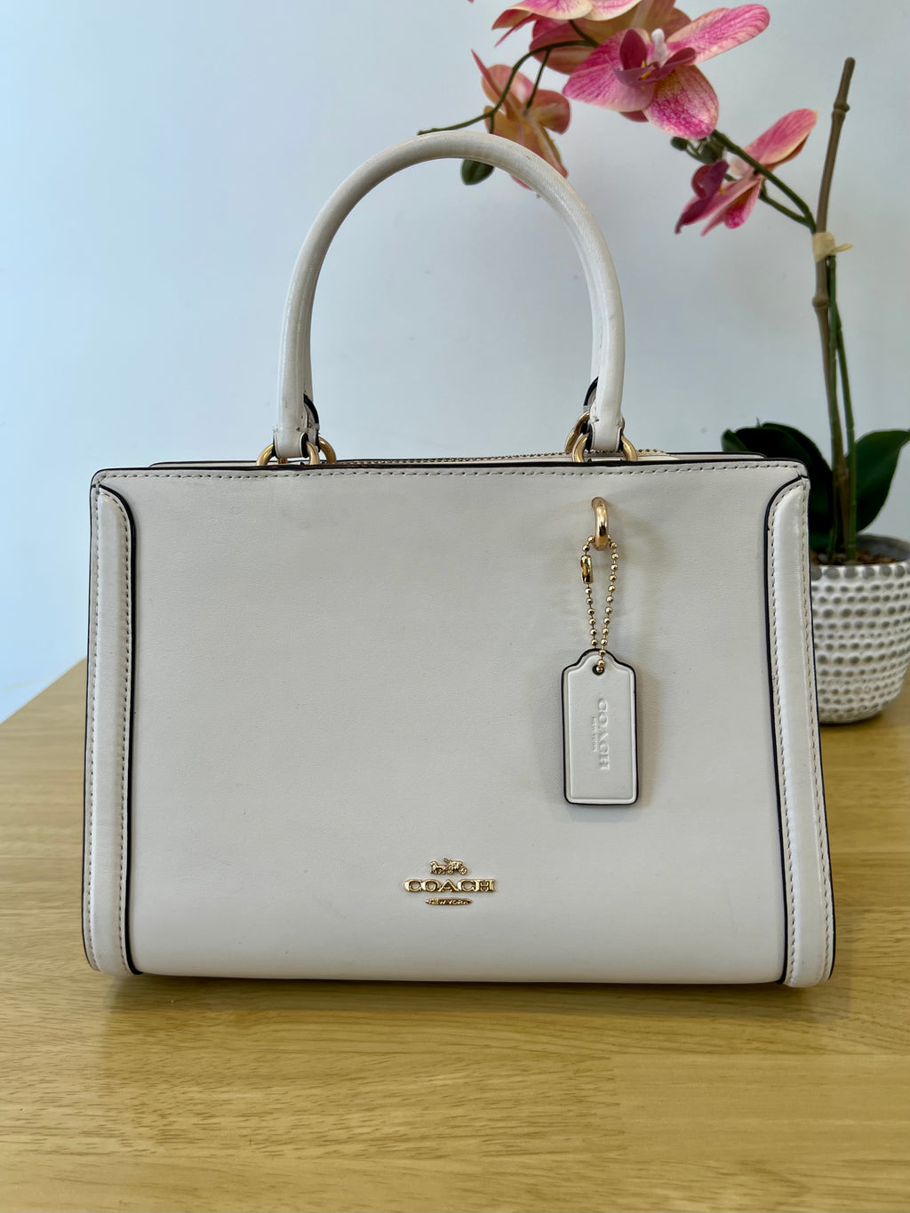 Coach Small Zoe Leather Carryall