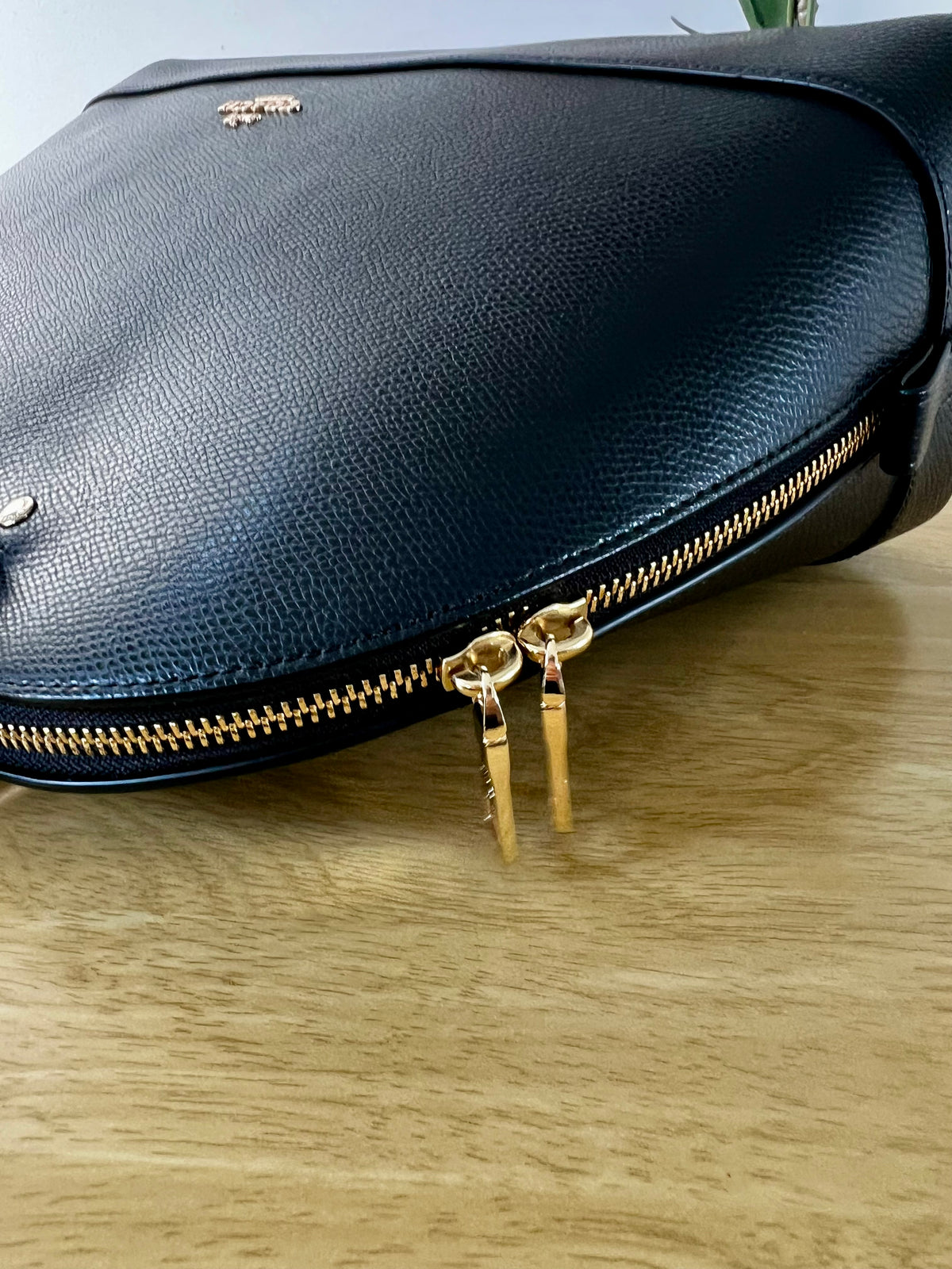Coach Sierra Satchel Bag