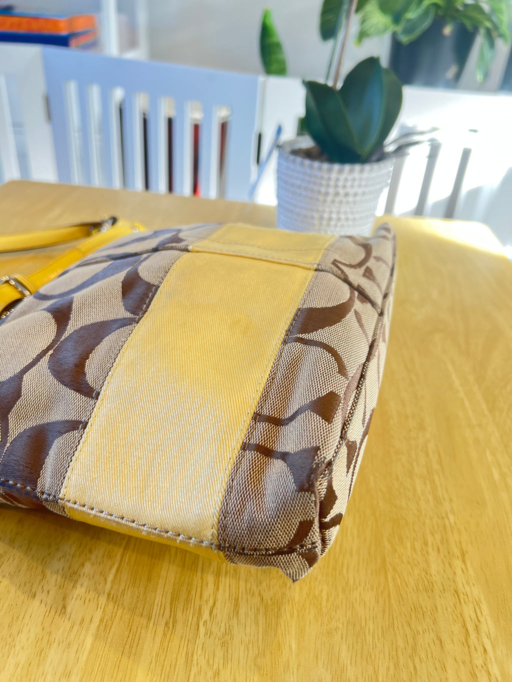 Coach Signature Stripe Hobo/Crossbody Bag