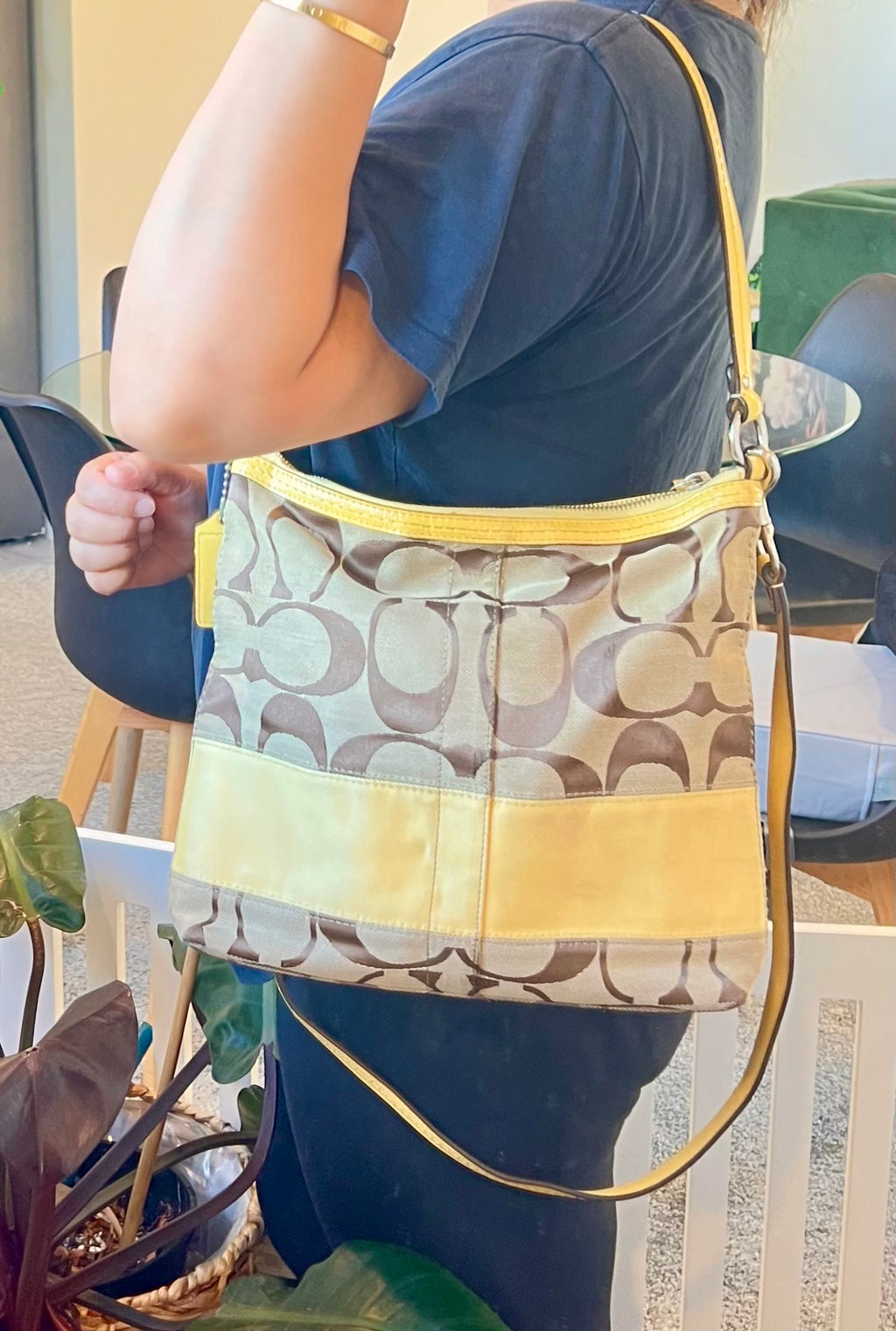 Coach Signature Stripe Hobo/Crossbody Bag