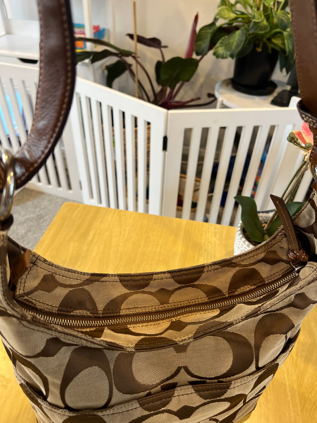 Coach Signature Canvas Hobo Crossbody Bag