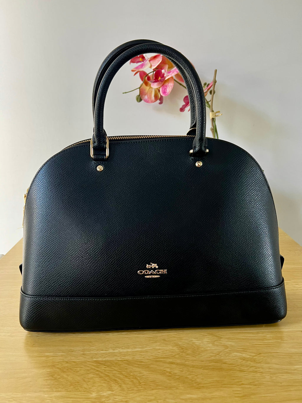 Coach Sierra Satchel Bag