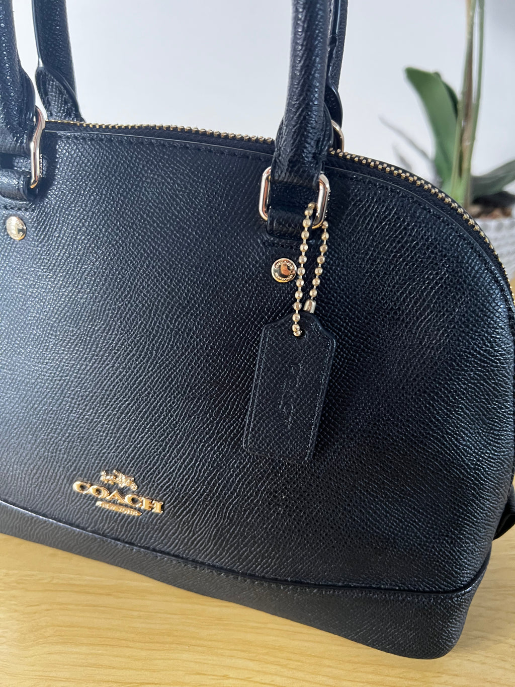Coach Mini Sierra Satchel Bag