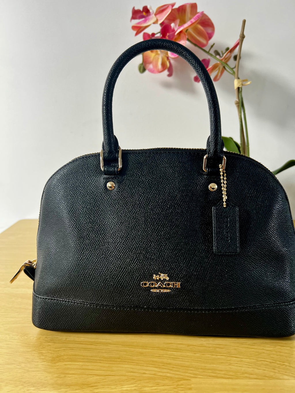 Coach Mini Sierra Satchel Bag