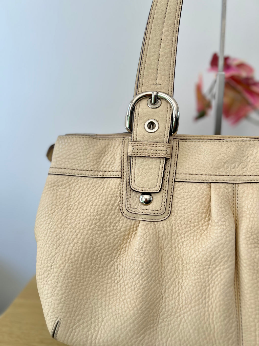Coach Soho Pleated Pebble Leather Bag