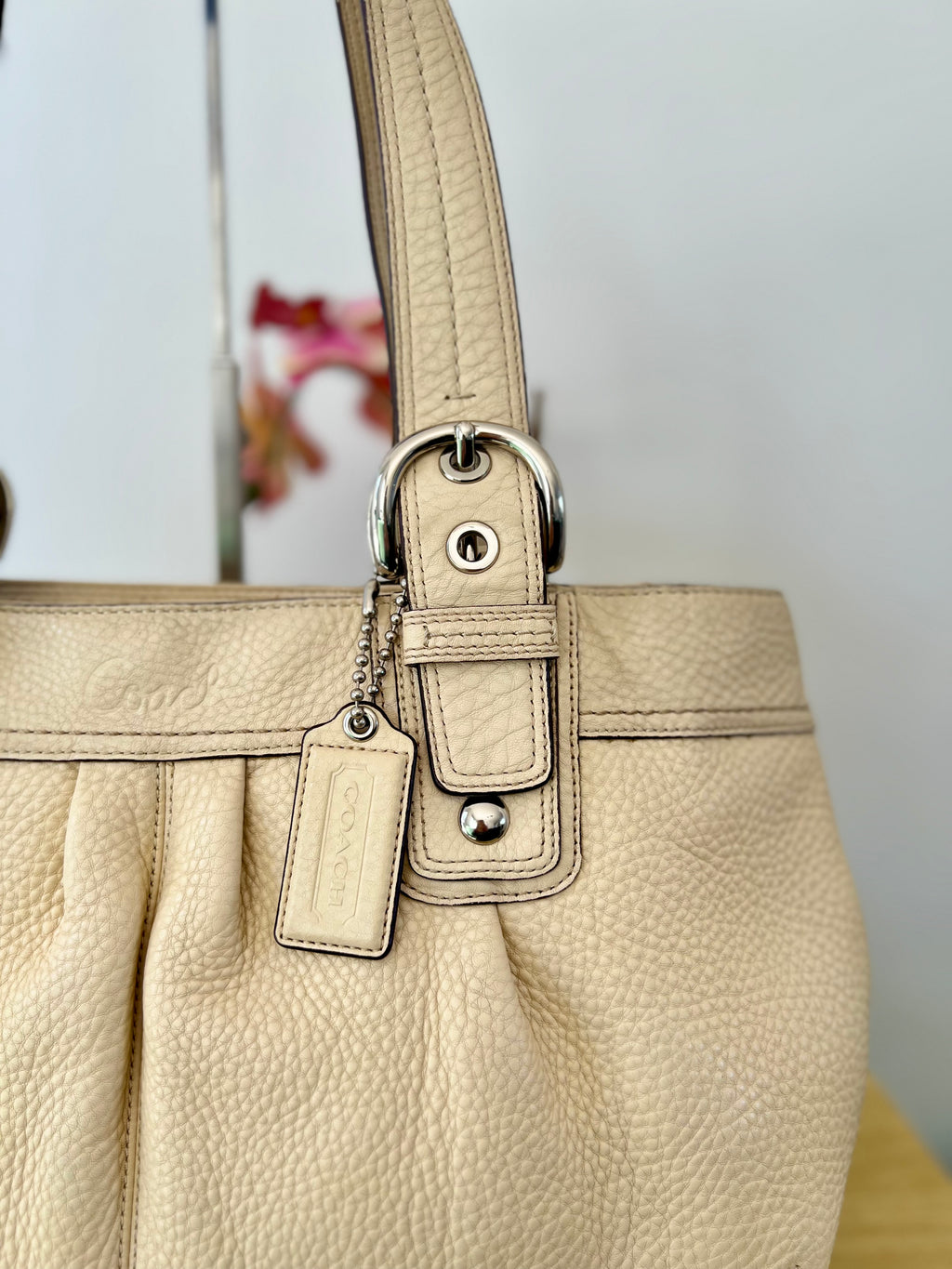 Coach Soho Pleated Pebble Leather Bag