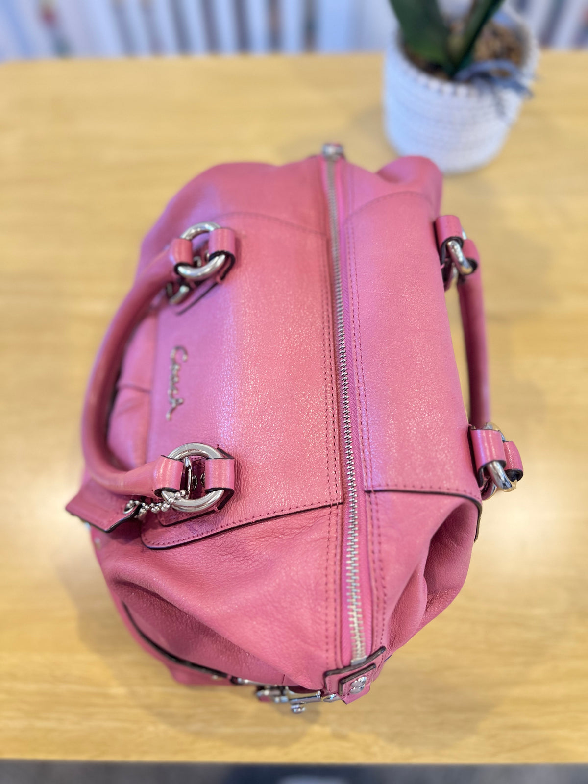 Coach Y2K Ashley Satchel Bag