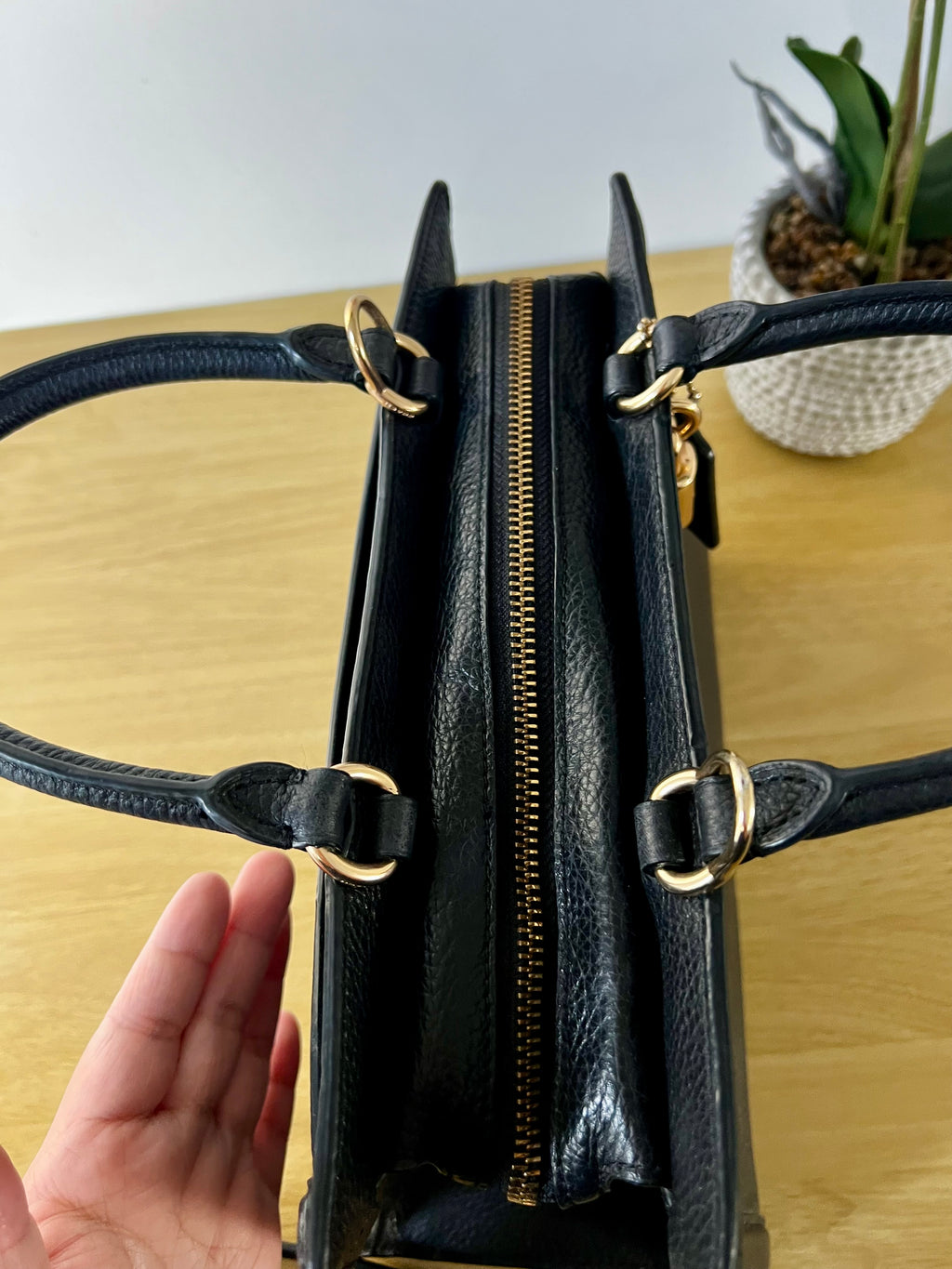 Coach Zoe Carryall Bag
